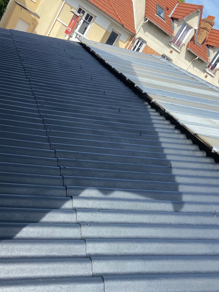 Remplacement toles ondulees vitry sur seine 94400