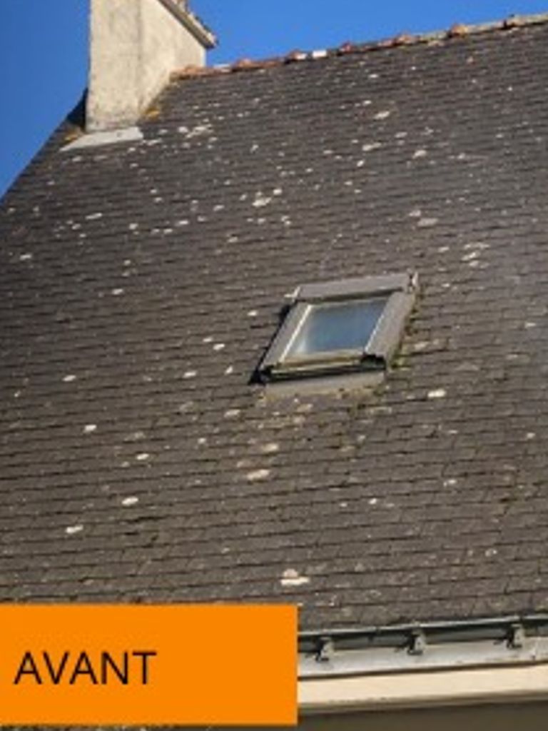 Restauration toiture vitry sur seine 94400 avant