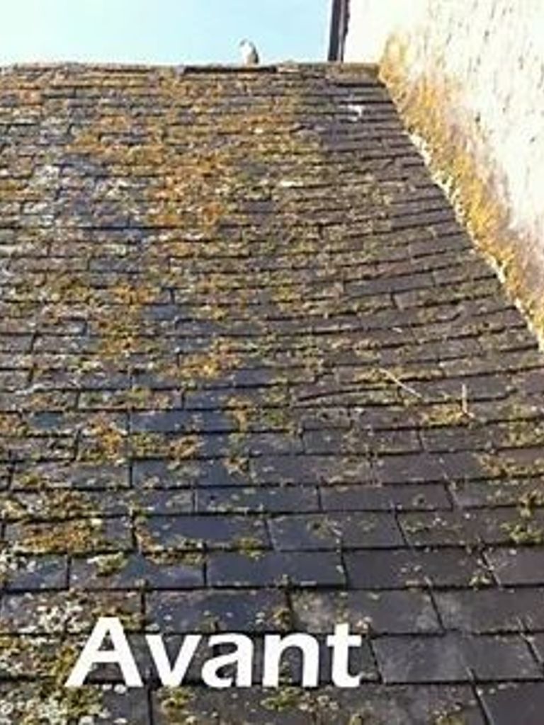 Restauration toiture vitry sur seine 94400 avant