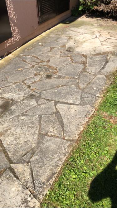 Nettoyage allee vitry sur seine 94400 avant